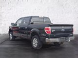 Used 2013 Ford F150 XLT w/ Luxury Equipment Group image 5