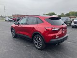 Used 2022 Ford Escape SE w/ SE Sport Appearance Package image 3
