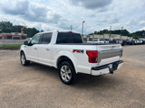 Used 2019 Ford F150 Platinum w/ Equipment Group 701A Luxury image 3