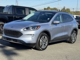 Used 2022 Ford Escape SEL w/ Technology Package image 2