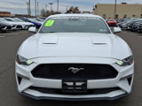 Used 2021 Ford Mustang Coupe image 2