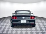 Used 2017 Ford Mustang Convertible w/ Equipment Group 051A image 6