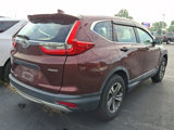 Used 2017 Honda CR-V LX image 3