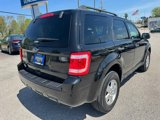 Used 2011 Ford Escape XLT image 3