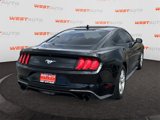 Used 2020 Ford Mustang Coupe image 5