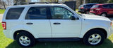Used 2011 Ford Escape XLT w/ Cargo Pkg image 4