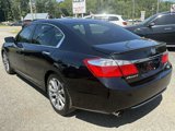 Used 2014 Honda Accord Sport image 3