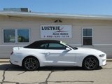 Used 2018 Ford Mustang Premium w/ Equipment Group 201A image 5