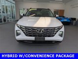 Used 2022 Hyundai Tucson SEL w/ Cargo Package image 3