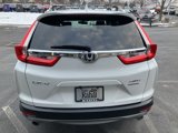 Certified 2019 Honda CR-V Touring image 5