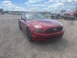 Used 2014 Ford Mustang Premium w/ Equipment Group 202A image 2