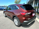 Used 2021 Ford Escape SE w/ Cold Weather Package image 5