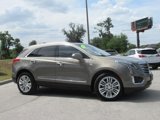 Used 2019 Cadillac XT5 Premium Luxury image 3