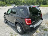 Used 2011 Ford Escape XLT w/ 202A Rapid Spec Order Code image 3