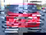 Used 2015 Ford Escape Titanium w/ Equipment Group 301A image 4