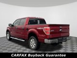 Used 2014 Ford F150 XLT w/ Equipment Group 302A Luxury image 2