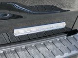 New 2025 GMC Sierra 1500 Elevation image 6