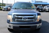 Used 2013 Ford F150 XLT w/ Luxury Equipment Group image 2