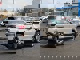 New 2025 GMC Terrain Elevation image 4