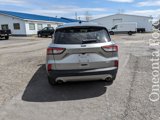 Used 2022 Ford Escape SE image 4