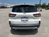 Used 2020 Ford Escape SE image 3