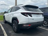Used 2022 Hyundai Tucson Blue image 4