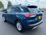 Used 2020 Ford Escape SE image 5