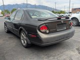 Used 2000 Nissan Maxima image 6