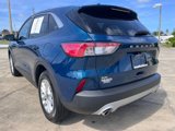 Used 2020 Ford Escape SE image 5