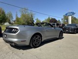 Used 2020 Ford Mustang Premium w/ Equipment Group 201A image 6