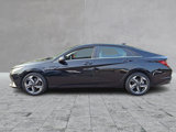 Certified 2021 Hyundai Elantra Limited w/ Cargo Package image 6