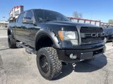 Used 2009 Ford F150 FX4 image 5