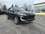 Used 2022 Ford Escape SEL image 4