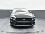 New 2025 Ford Mustang Coupe image 3