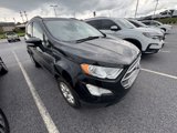 Used 2020 Ford EcoSport SE image 3