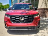 New 2025 Honda Pilot Sport image 6