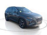 Used 2022 Hyundai Tucson Limited w/ Cargo Package image 2