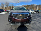 Used 2020 Cadillac XT5 Premium Luxury image 3