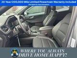 New 2024 Ford Escape ST-Line w/ Equipment Group 301A image 5