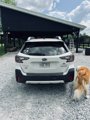 Used 2020 Subaru Outback Touring XT image 3