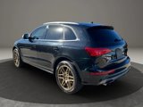Used 2014 Audi SQ5 Prestige image 6