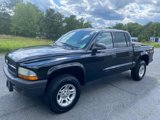 Used 2003 Dodge Dakota Sport image 3