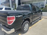 Used 2013 Ford F150 XLT w/ XLT Chrome Pkg image 4