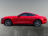 Used 2019 Ford Mustang Premium w/ Equipment Group 201A image 4