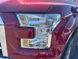 Used 2016 Ford F150 XLT w/ Equipment Group 302A Luxury image 4