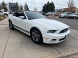 Used 2014 Ford Mustang Premium w/ Equipment Group 201A image 4