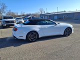 Used 2022 Ford Mustang Premium image 3