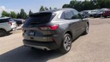 Used 2020 Ford Escape SEL image 2