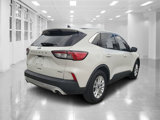 Used 2020 Ford Escape SE image 3