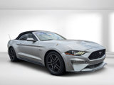 Used 2019 Ford Mustang GT Premium image 2